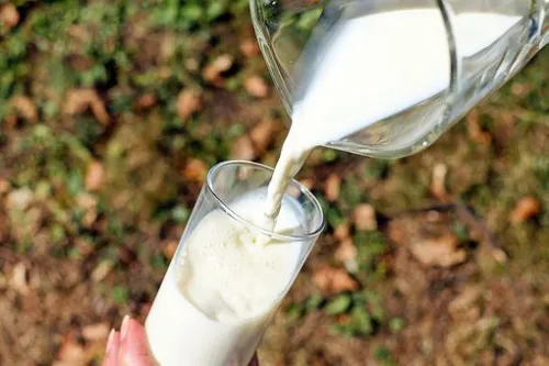 Вологодские фермеры подсчитывают расходы и поднимают цены на молоко 