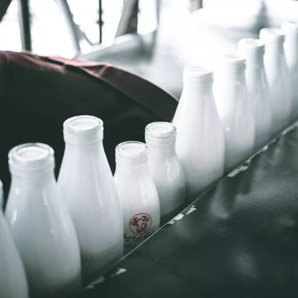 За 6 лет в проекты по производству молока в Вологодской области вложено 5,4 млрд рублей